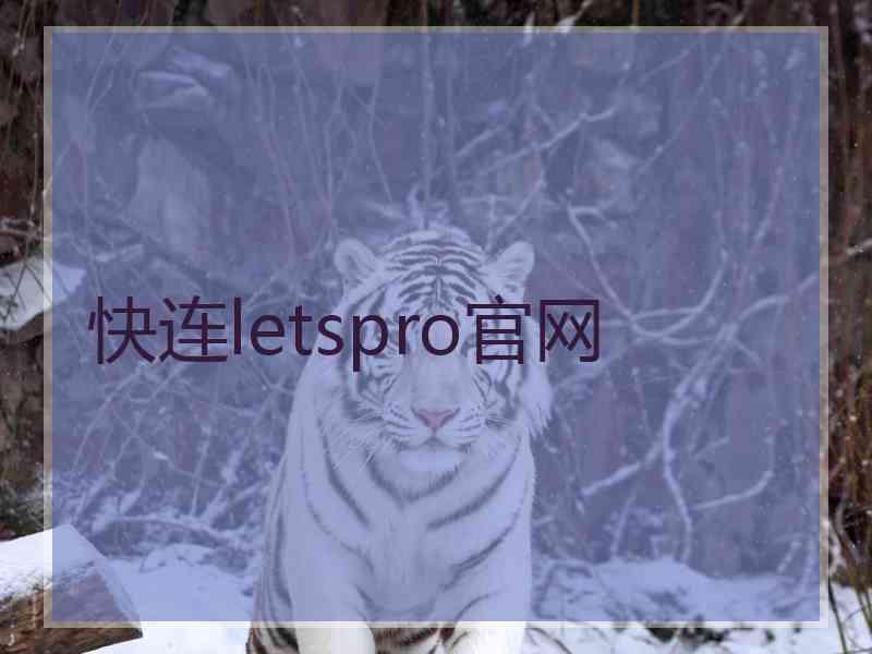 快连letspro官网