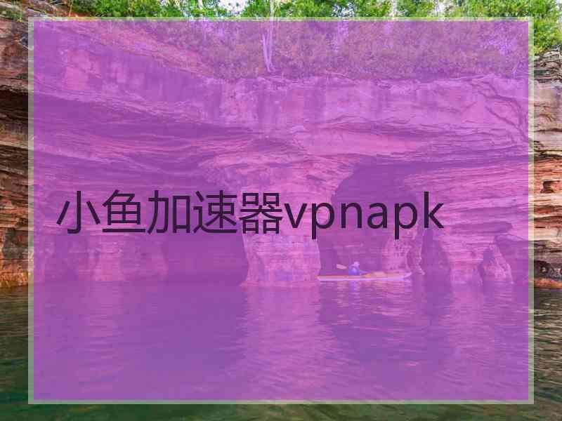 小鱼加速器vpnapk
